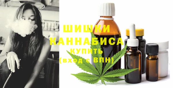 метадон Богданович