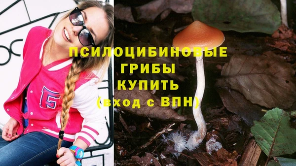 твердый Богородицк