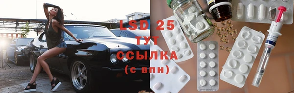 метадон Богданович