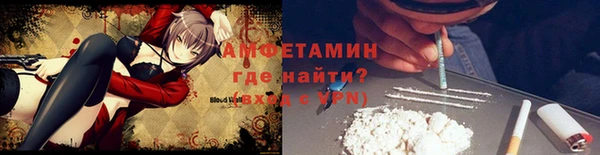 метадон Богданович