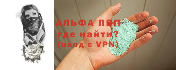 метадон Богданович
