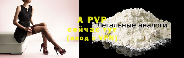 метадон Богданович
