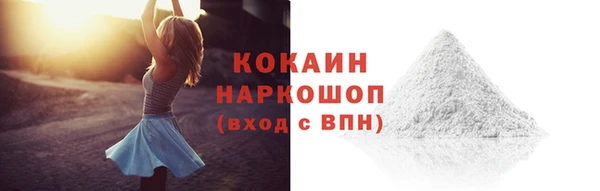твердый Богородицк