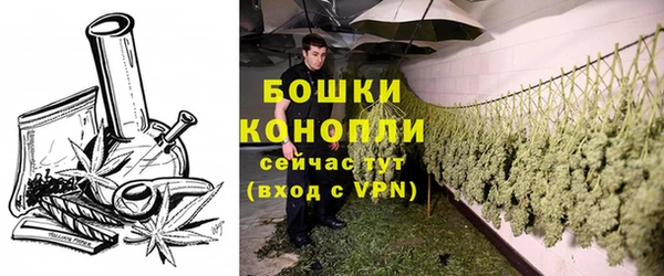 твердый Богородицк