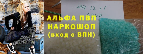 метадон Богданович