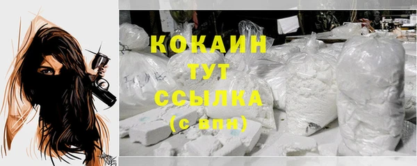 твердый Богородицк