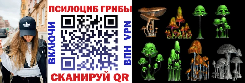 Купить закладки  Весьегонск  Галлюциногенные грибы MAGIC MUSHROOMS 